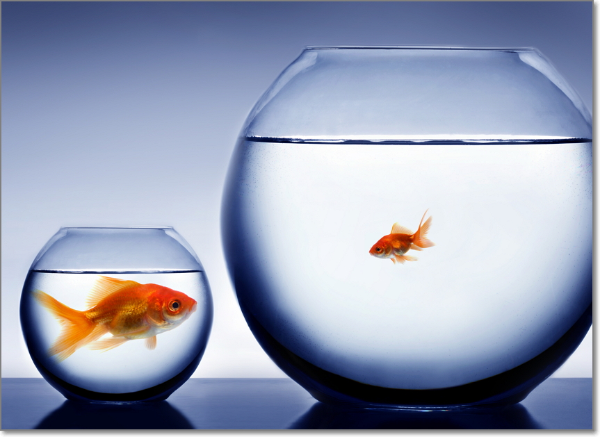Price Anchoring Or How to Influence Sales by Implementing Contrast Principle
