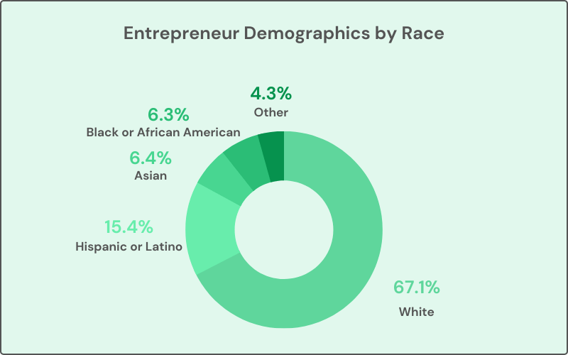 Entrepreneur Demographics by Race