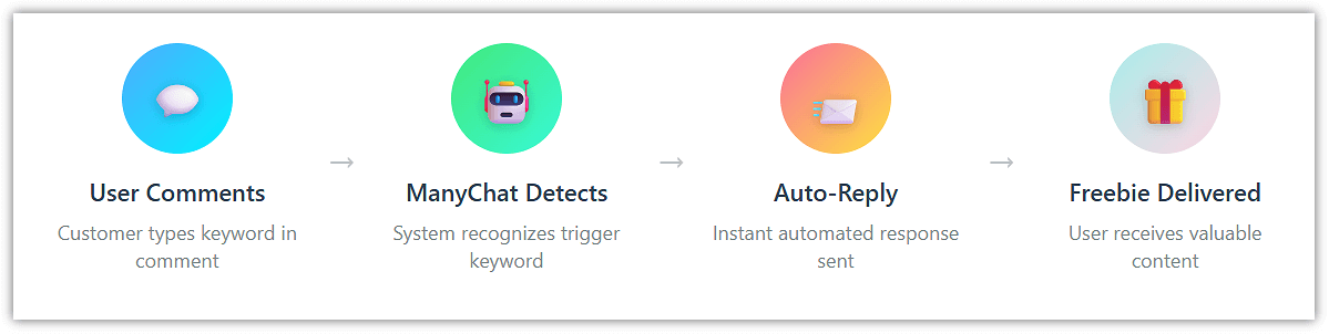 ManyChat Automation Workflow